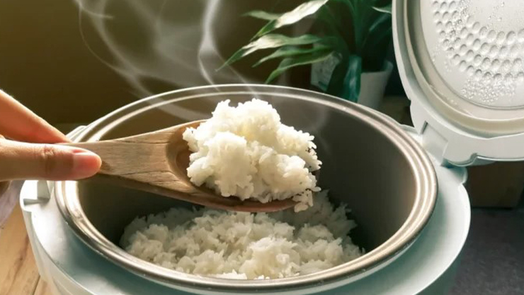 Penyebab rice cooker tidak panas